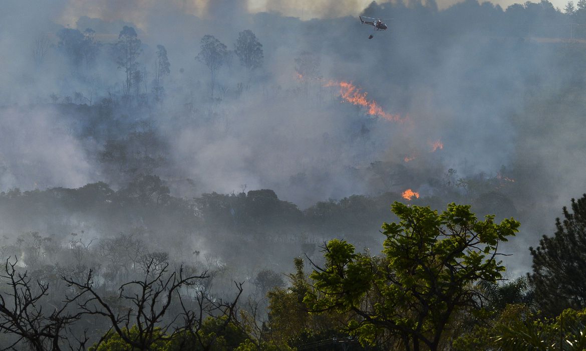 Governo Federal decreta estado de emergência ambiental em MT, líder em queimadas
