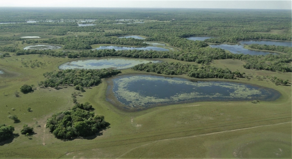 Cáceres volta atrás em iniciativa pioneira de proteção à natureza