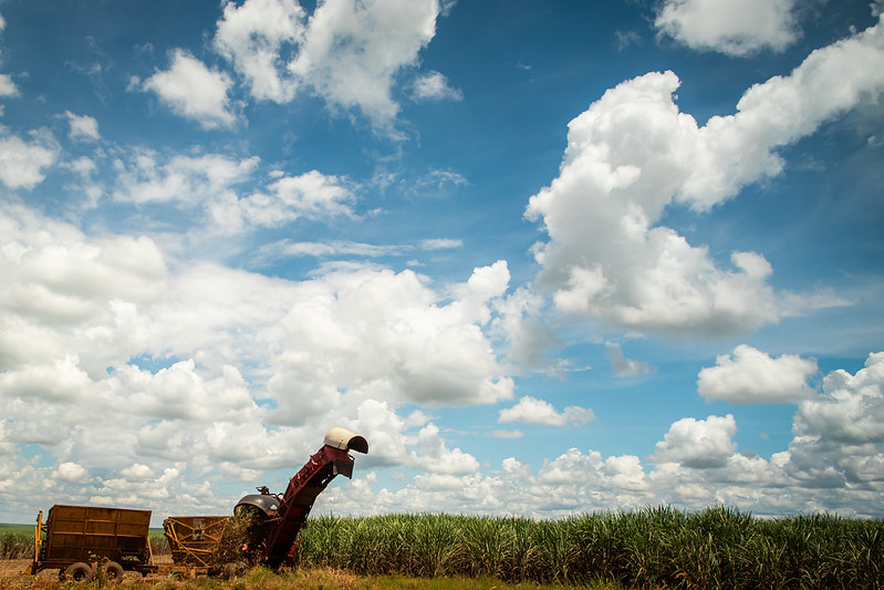 Alta dos custos de produção faz PIB do agronegócio encolher