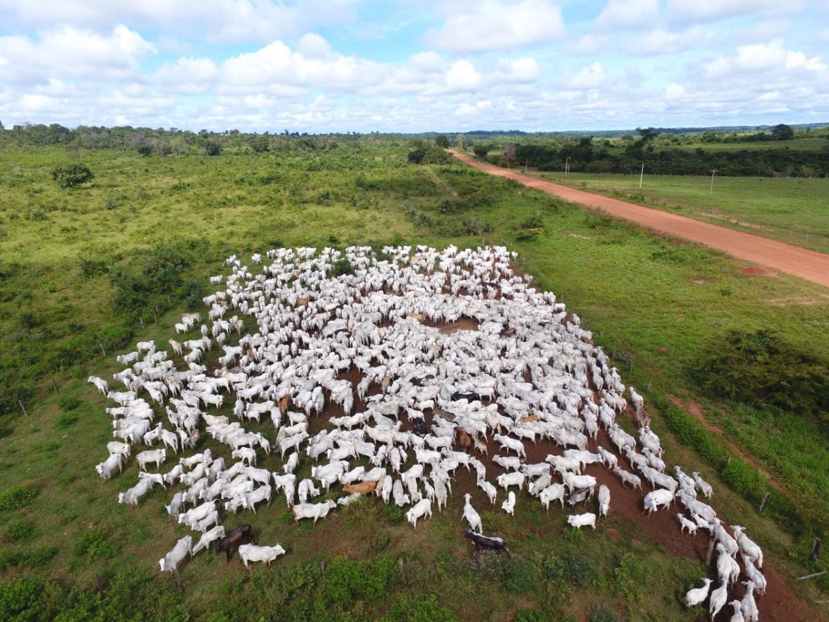 Justiça Federal bloqueia R$ 667 mi de fazendeiros que arrendavam terras indígenas em MT