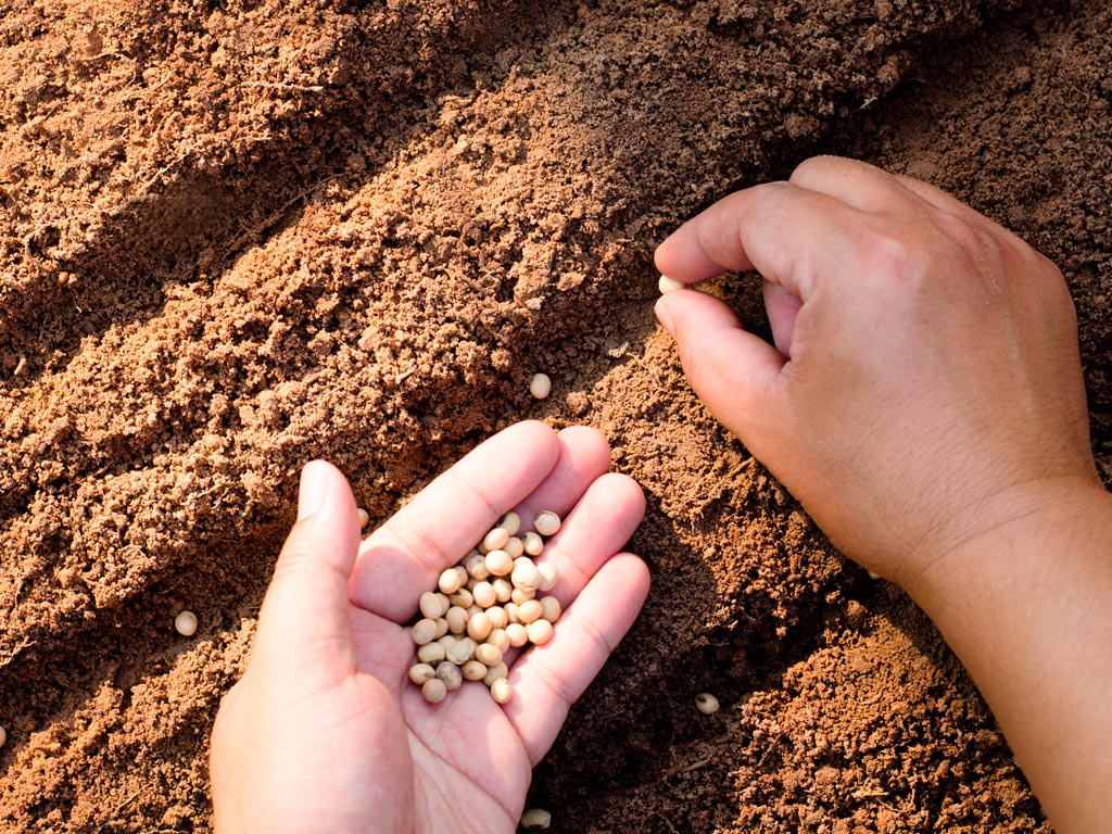 Setembro começa com tempo quente e seco em Mato Grosso