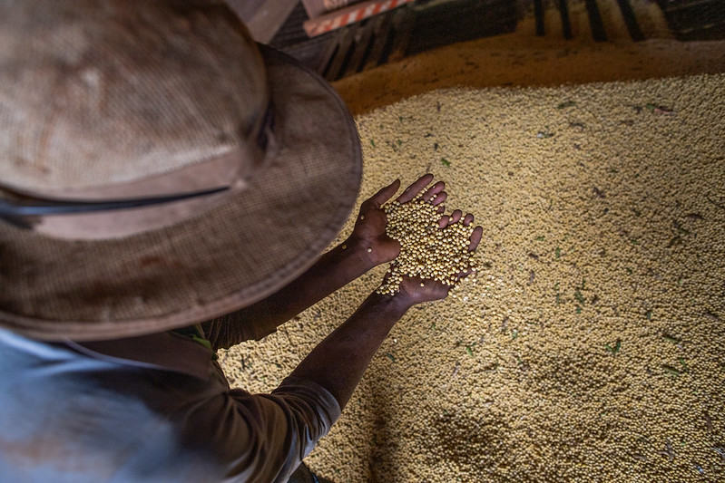 Safra agrícola 2021 cresceu 58,6% no País e 91,5% em Mato Grosso