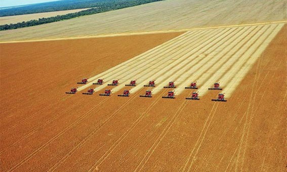 Sorriso lidera produção agrícola nacional, pela terceira vez consecutiva