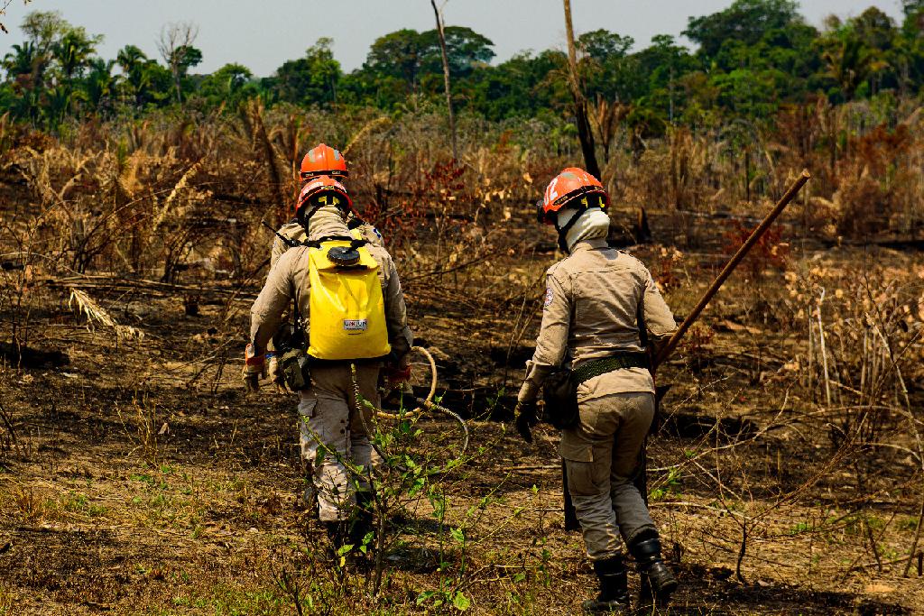 Multas por uso irregular do fogo já somam R$ 287 milhões neste ano