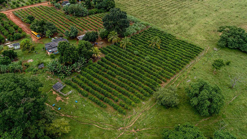 Programa beneficia empreendimentos da agricultura familiar