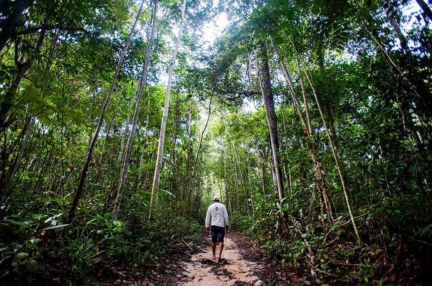 Fundo Amazônia já recebeu R$ 3,3 bilhões em doações