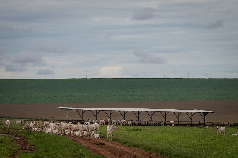 VBP Agropecuária de 2022 deve recuar em relação a 2021 em função da seca