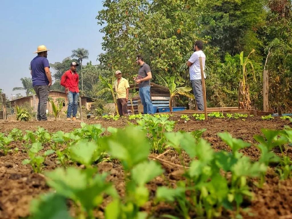 Sinop busca vencer baixa oferta de alimentos básicos com programa de agroecologia