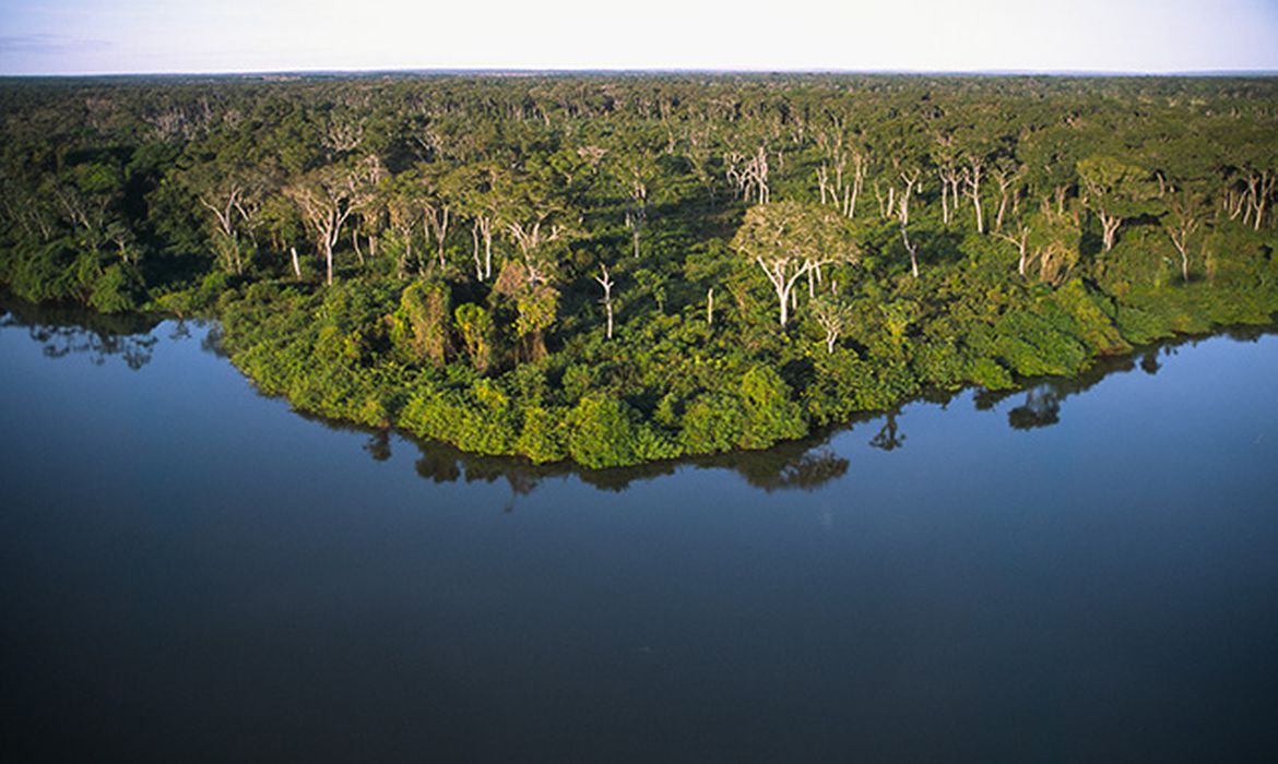 COP 27: Desmate pode reduzir 1/3 da vazão das águas dos rios do Cerrado