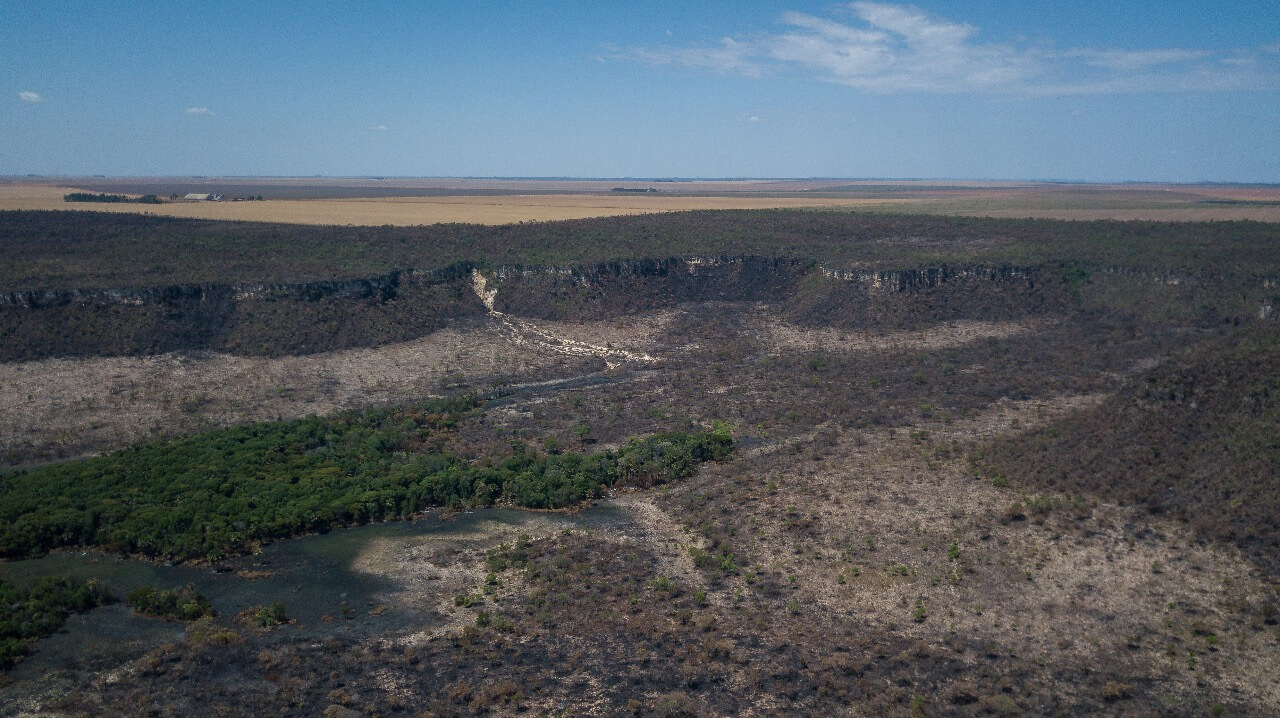 COP27: Projeto Vertentes busca recuperar áreas degradadas no Cerrado