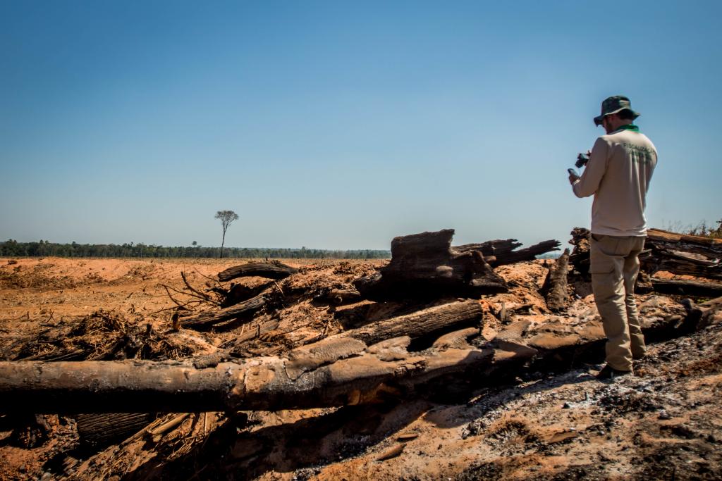 MT aplicou R$ 1,2 bilhão em multa por crimes ambientais em 2022