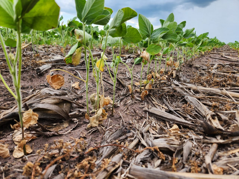 Mudanças climáticas são grandes desafios para o seguro rural