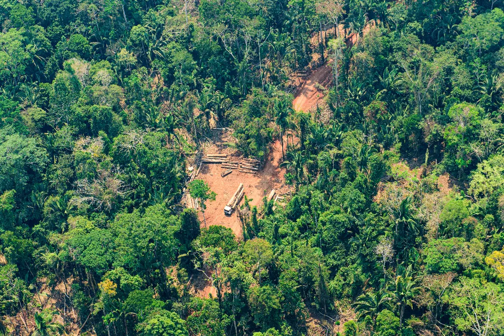Mato Grosso reduz taxa anual de destruição florestal, mas segue longe de cumprir meta