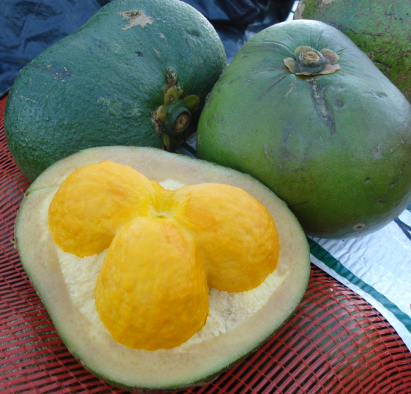 Longe do mar, MT tem simpatias de Ano Novo ligadas à culinária