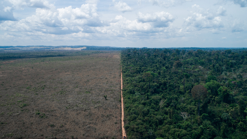 Destruição florestal aumenta custo de produção da soja no Cerrado