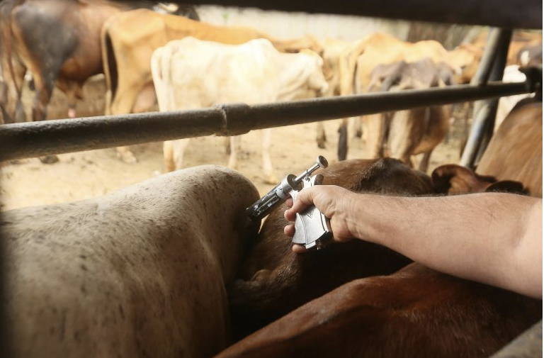 Autocontrole agropecuário: entenda como será a fiscalização da produção