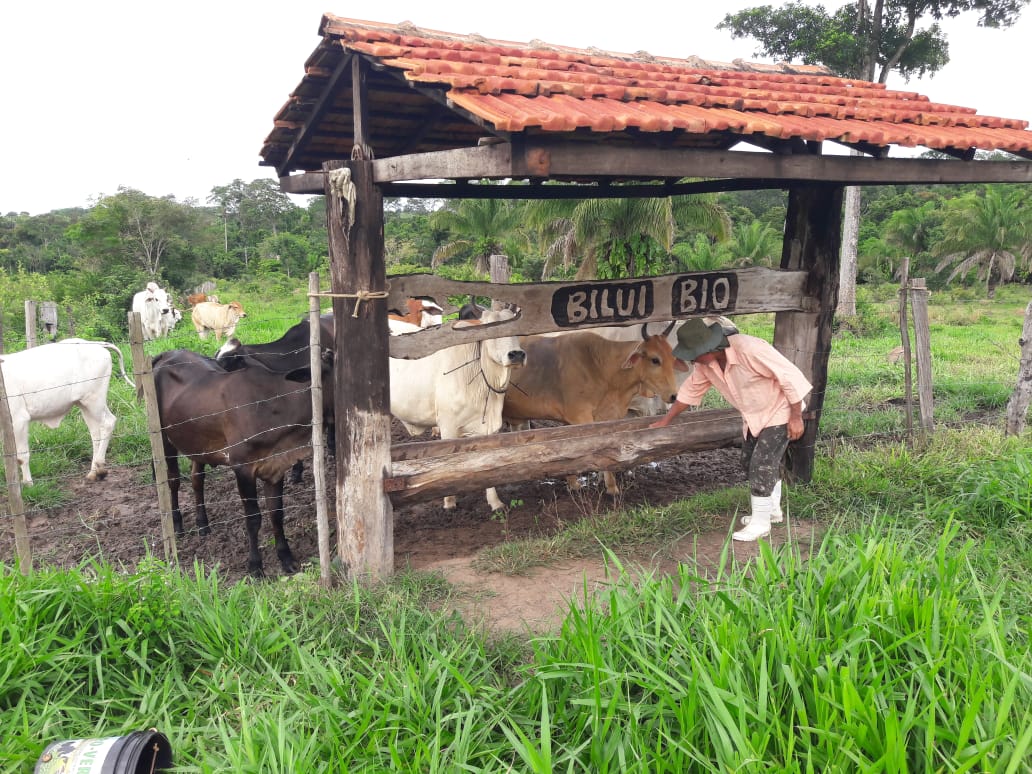 Saiba o que é e como manter um sítio bioarquitetônico