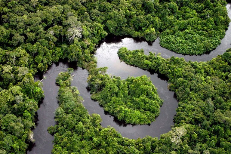 Cai 68% desmate na Amazônia em abril, aponta Inpe