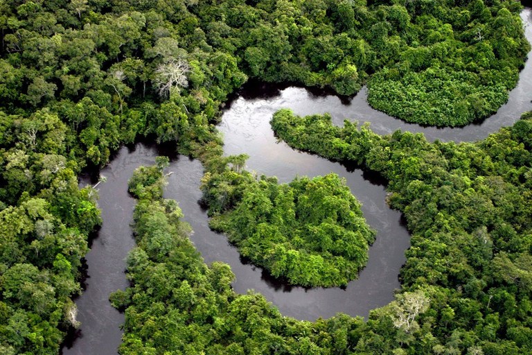 Volta do Fundo Amazônia amplia investimento internacional no Brasil