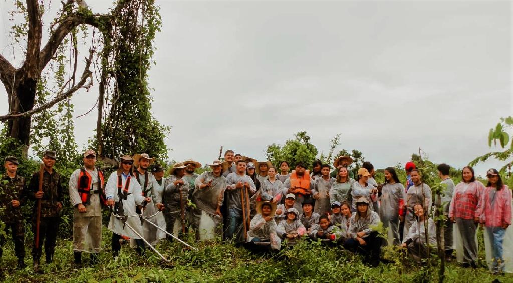 Projeto plantou mais de mil mudas em área destruída por incêndios