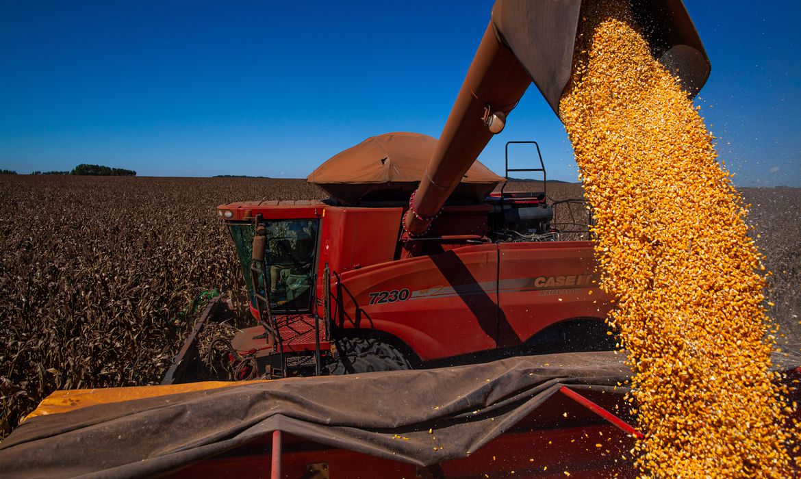 Produção soja e milho de MT pode dar um ‘olé’ na Argentina