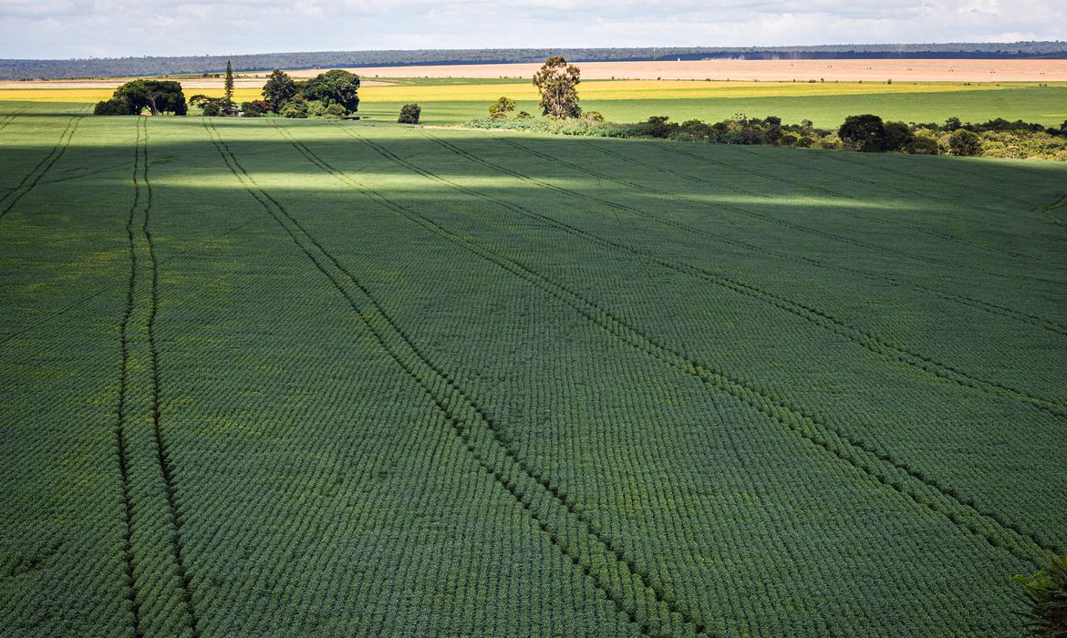 Produção de soja vai crescer 23,4% em 2023, diz IBGE