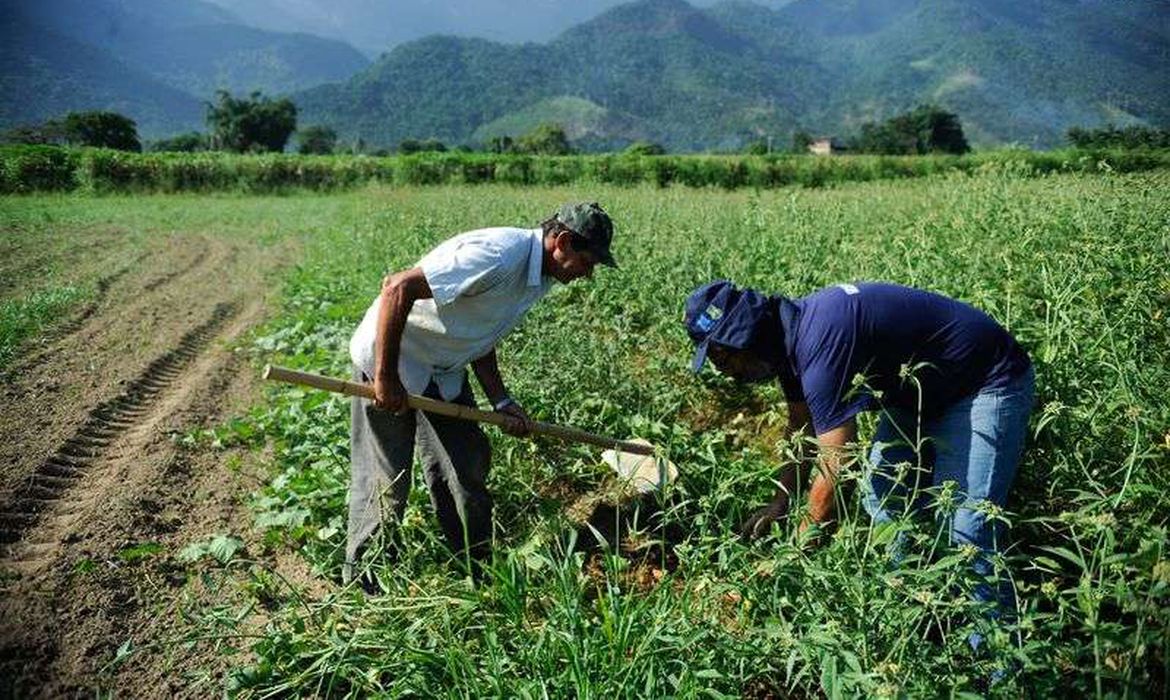 Governo prorroga prazo para cadastro na Agricultura Familiar