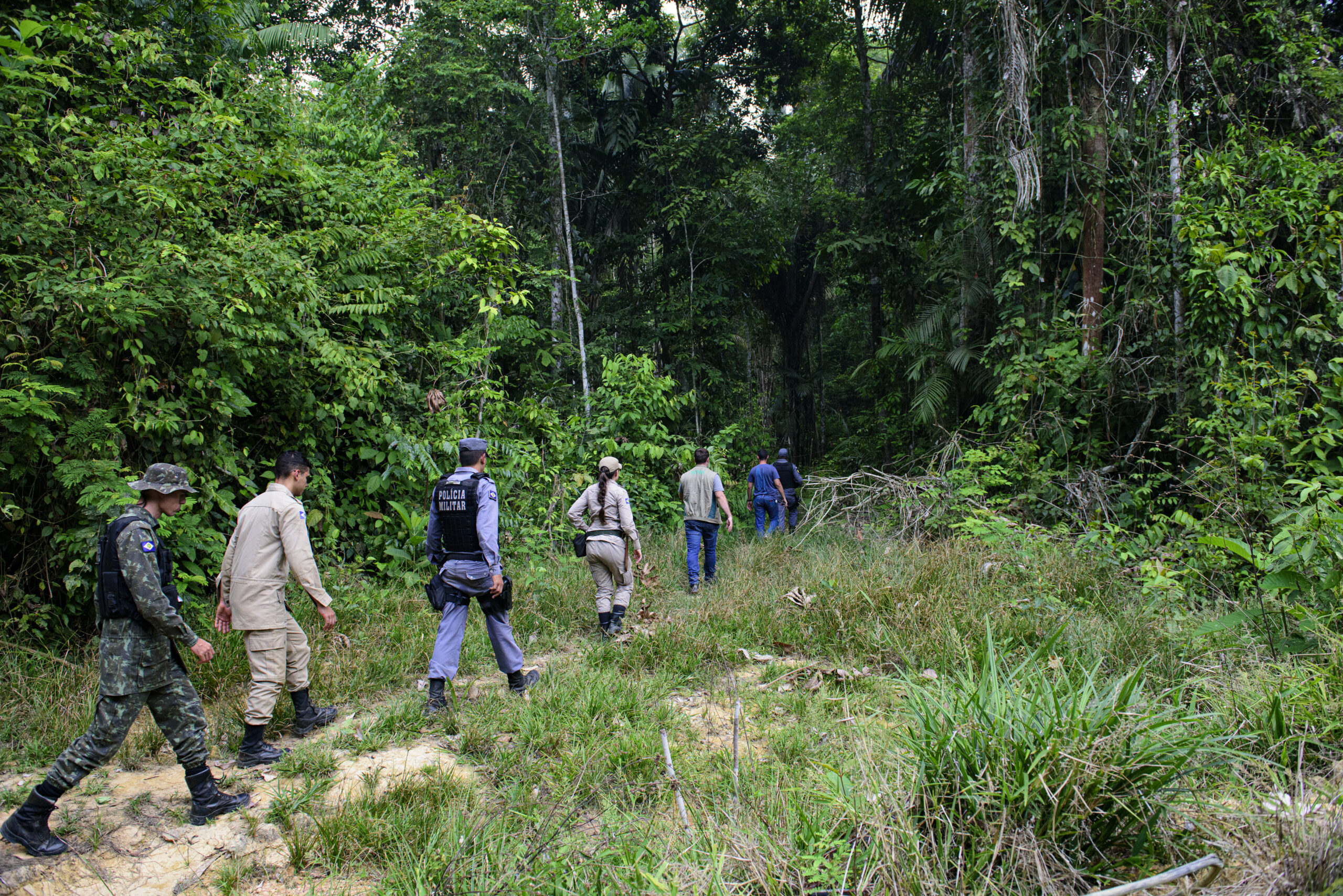 Operação Amazônia combate crimes ambientais em Mato Grosso