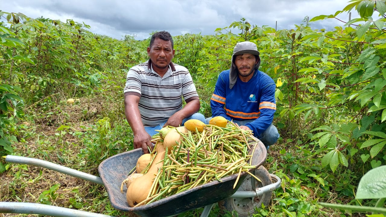 Agricultores entregarão 40 toneladas de alimentos para a merenda escolar