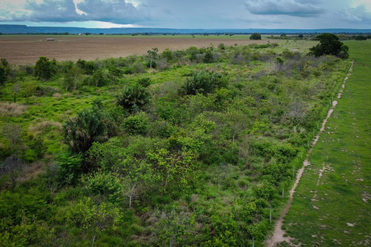 Fazendeiro de MT é investigado por crime ambiental no Araguaia