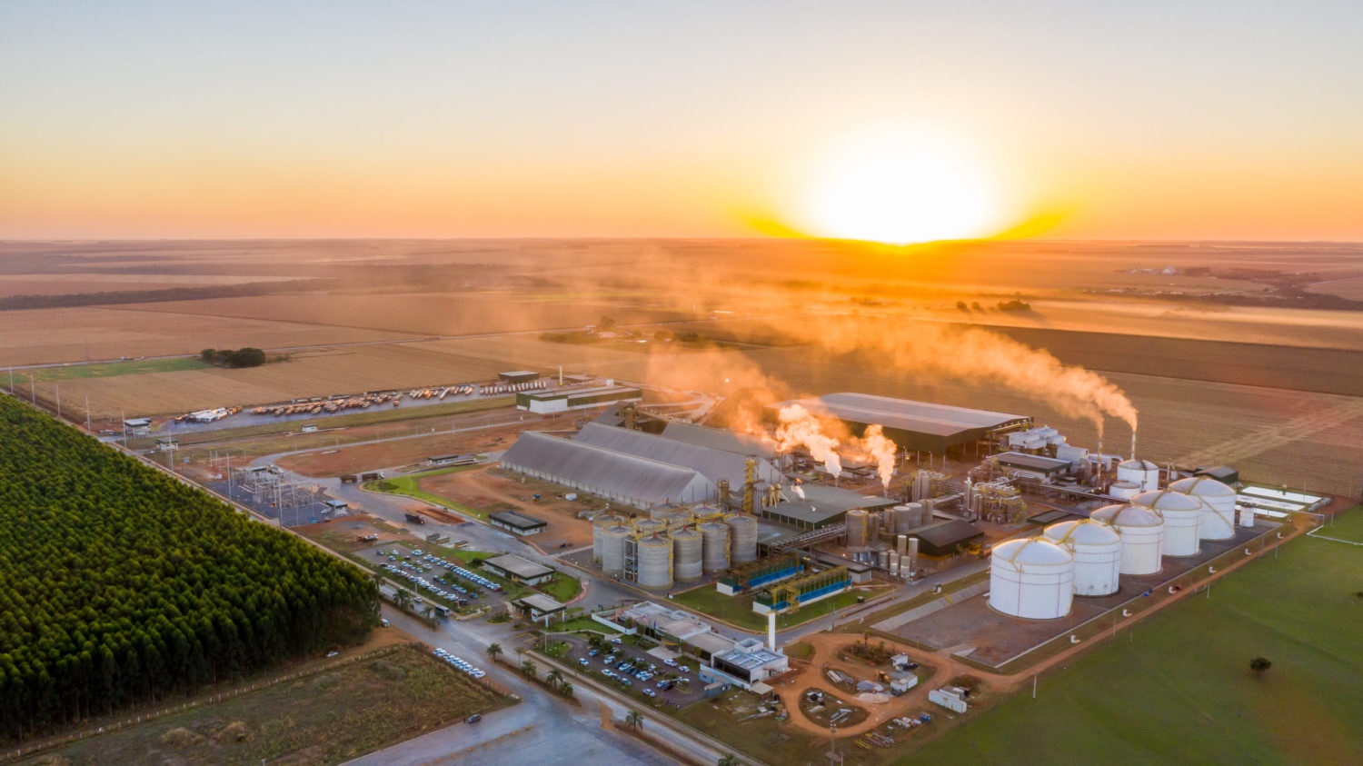 Inédito no País, etanol com pegada negativa de CO2 será produzido em MT