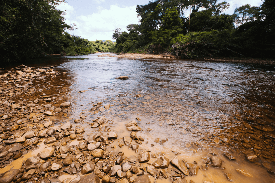 Desmate no Matopiba põe em risco abastecimento de água de 373 cidades