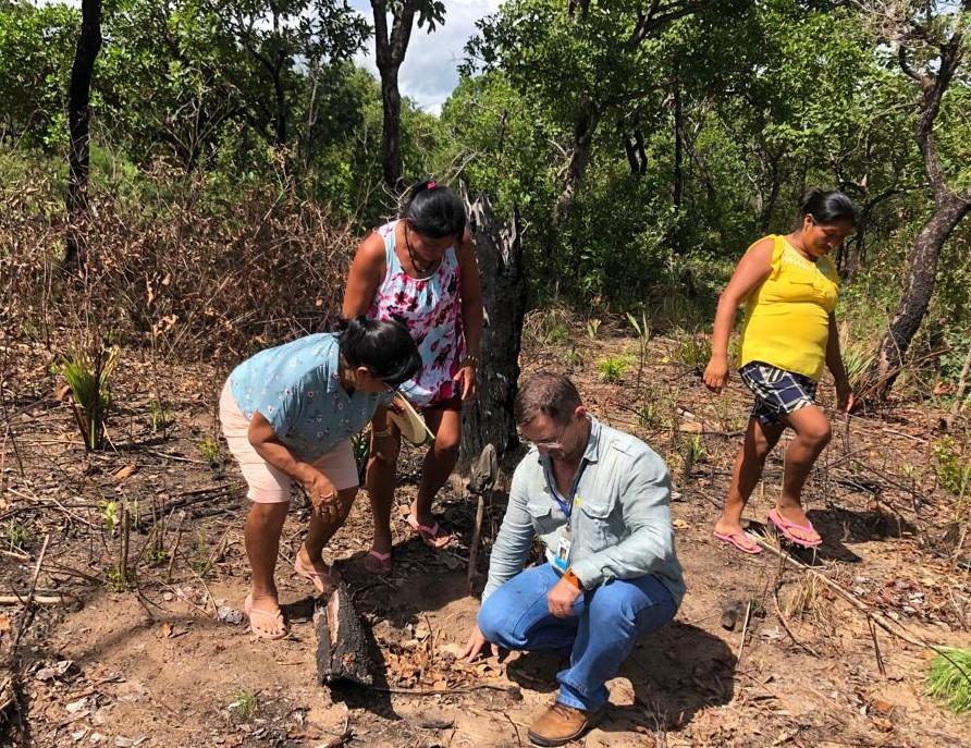 Empaer e Funai resgatam práticas da agricultura ecológica em aldeia