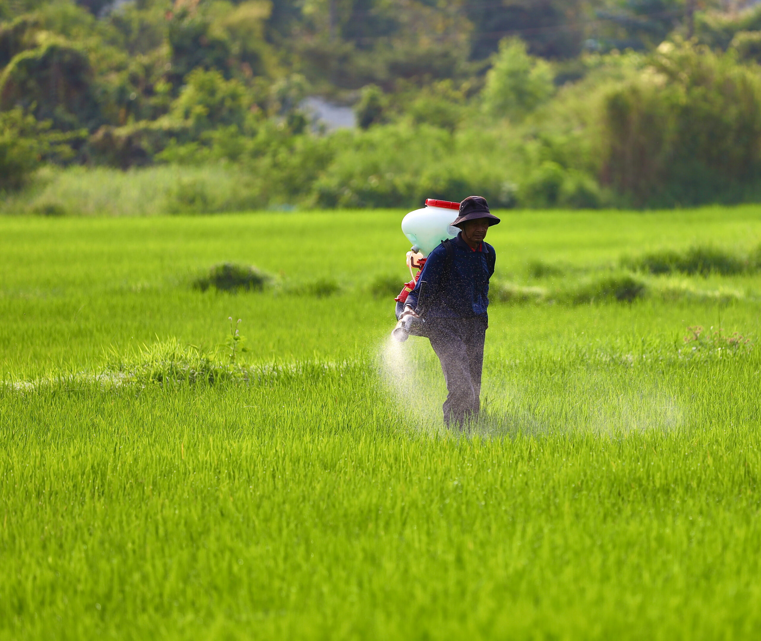 MT discute redução de dependência de fertilizantes importados