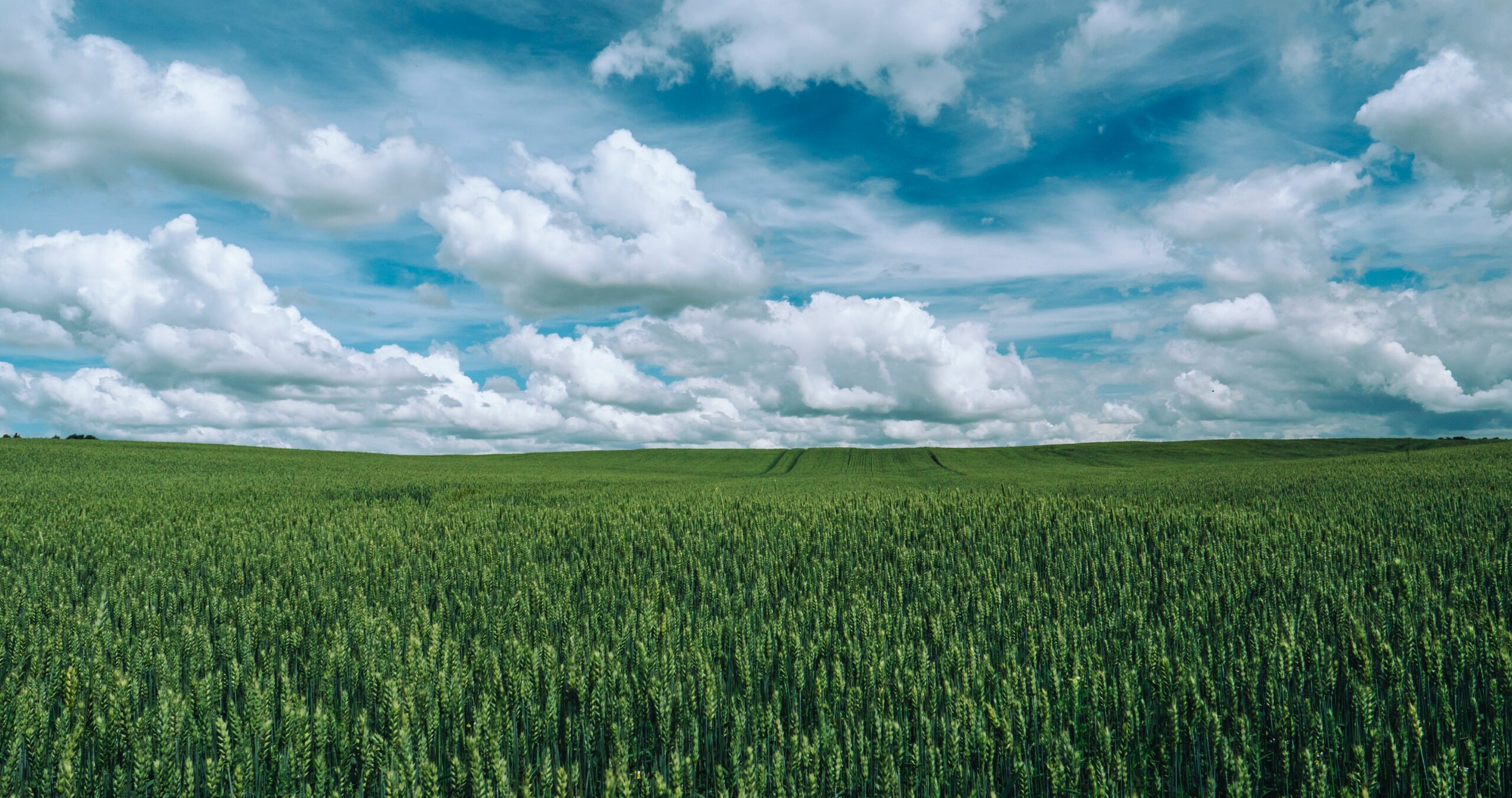 PIB do agronegócio registra queda de 4,22% em 2022