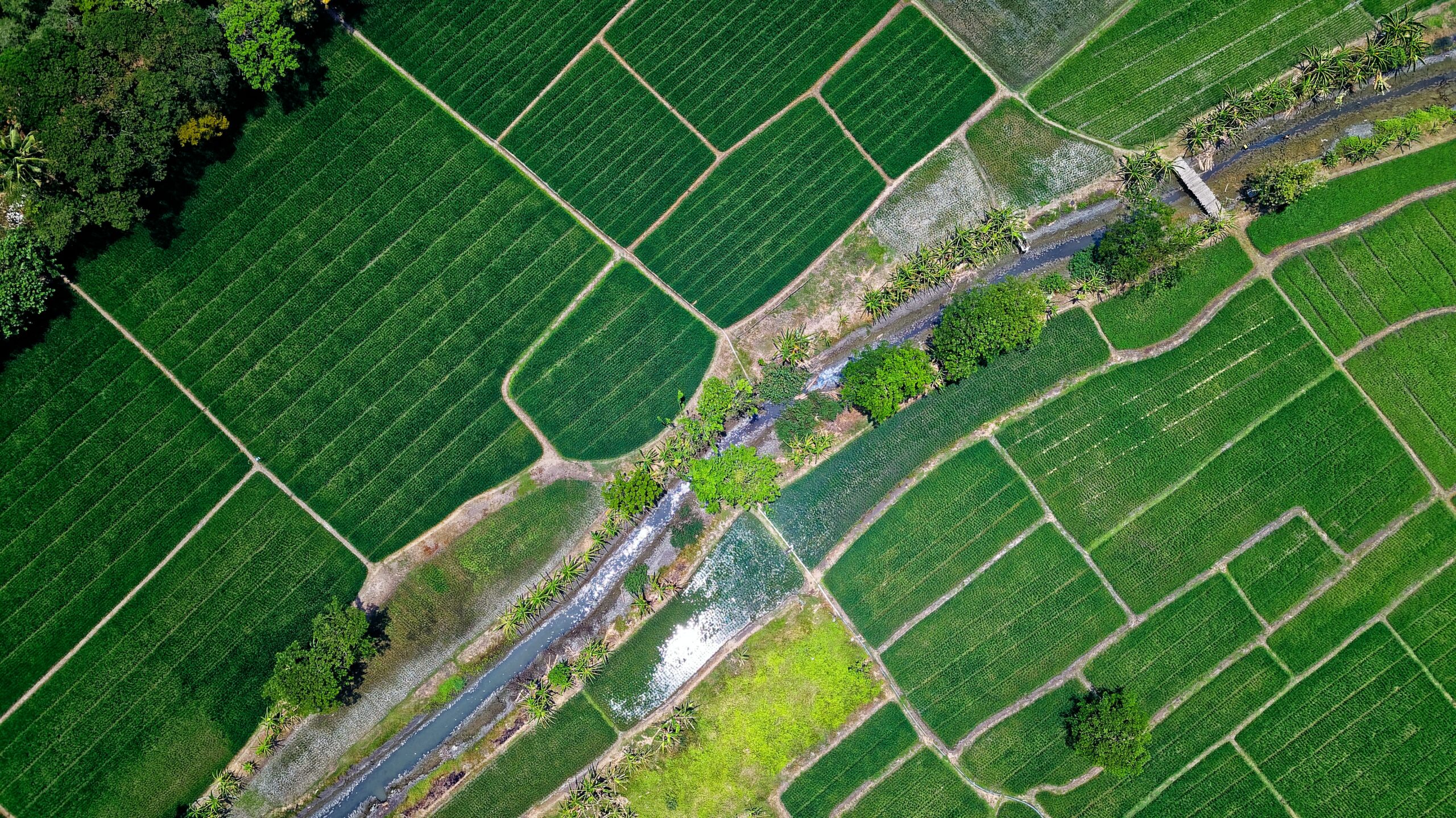 Aberta consulta sobre regulamentação do autocontrole agropecuário