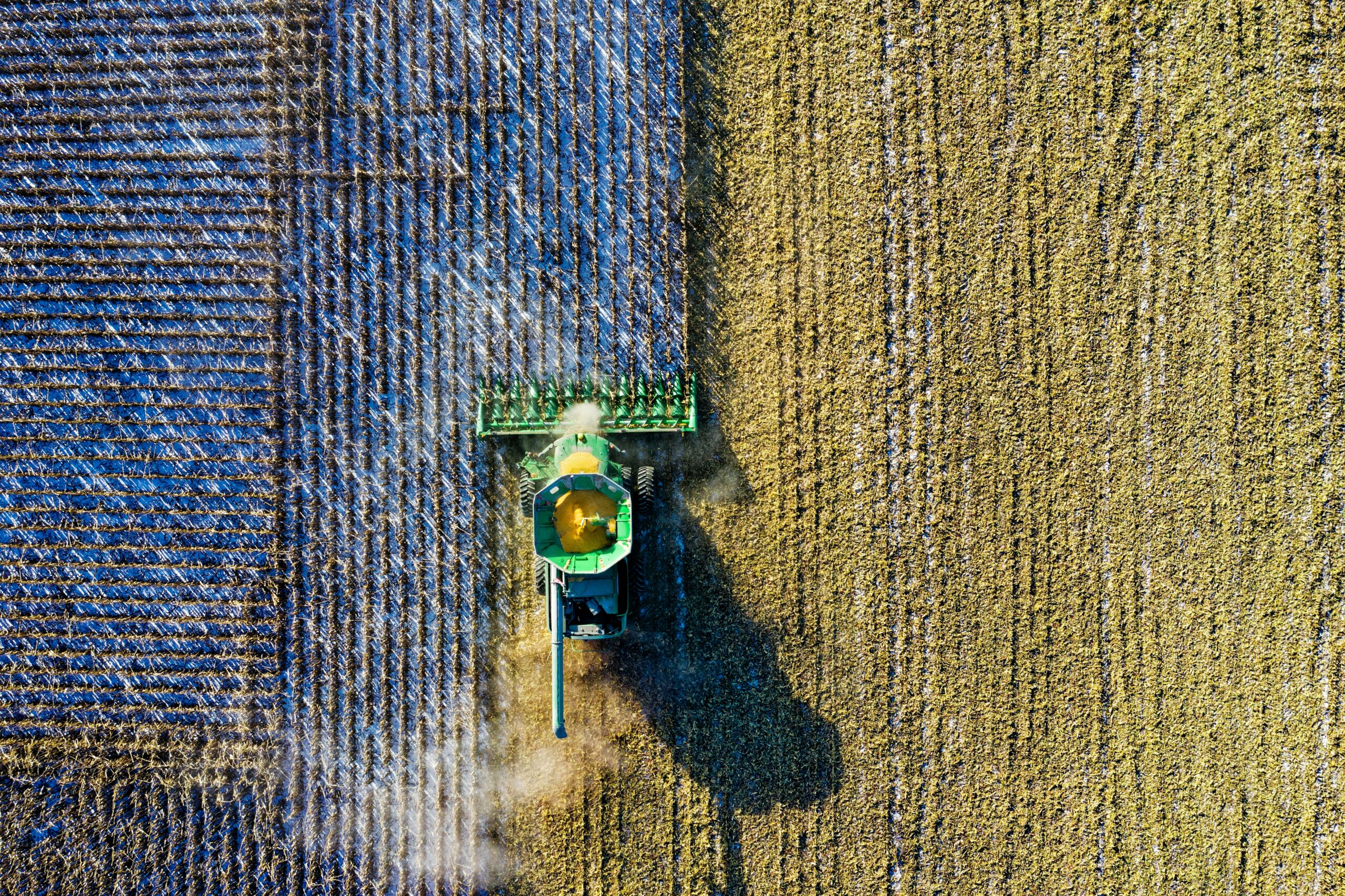 Como El Niño pode afetar Brasil em 2023