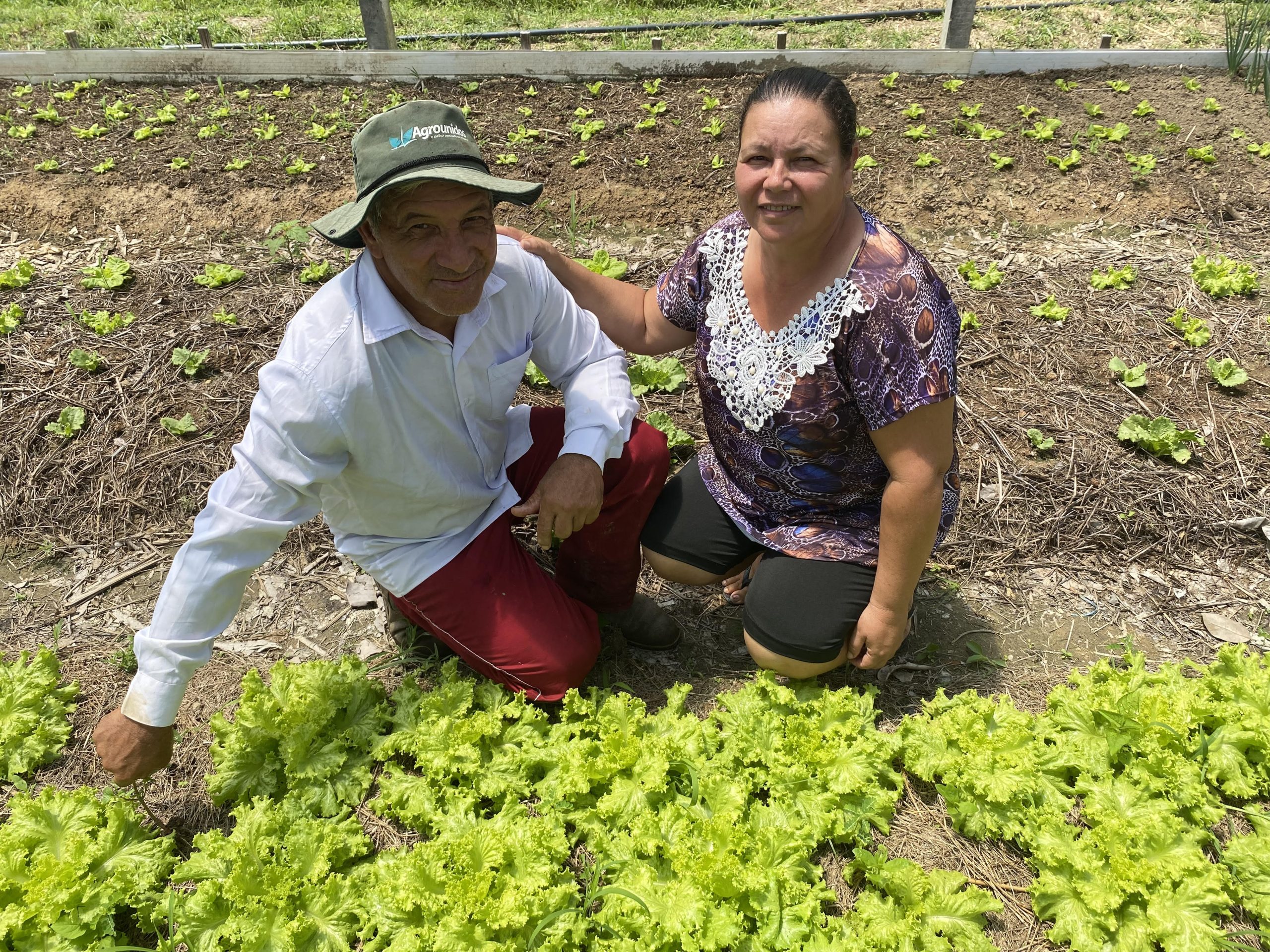 Rede de produção orgânica de MT é credenciada pelo Mapa