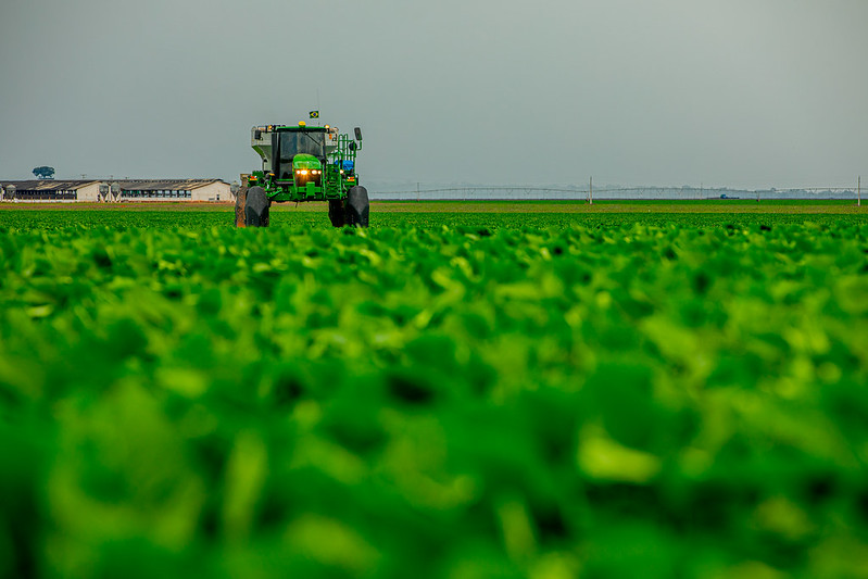 Mato Grosso tem 35 das 100 cidades mais ricas do agronegócio