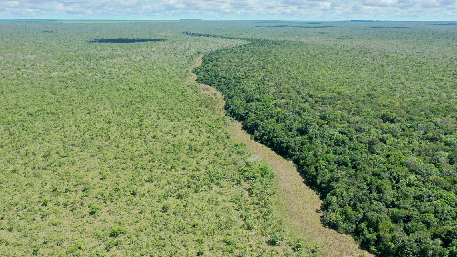 Ipam e Amaggi assinam contrato para preservação de mata nativa