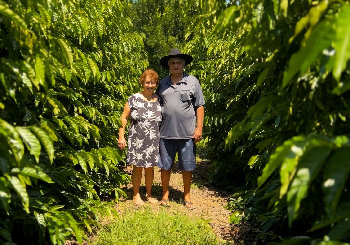 Investimento do Governo de MT impulsiona produtores de café