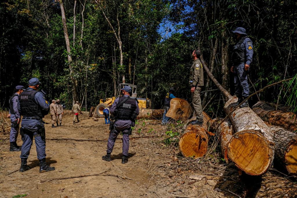 MT tem 62% da área dos alertas de desmatamento fiscalizadas