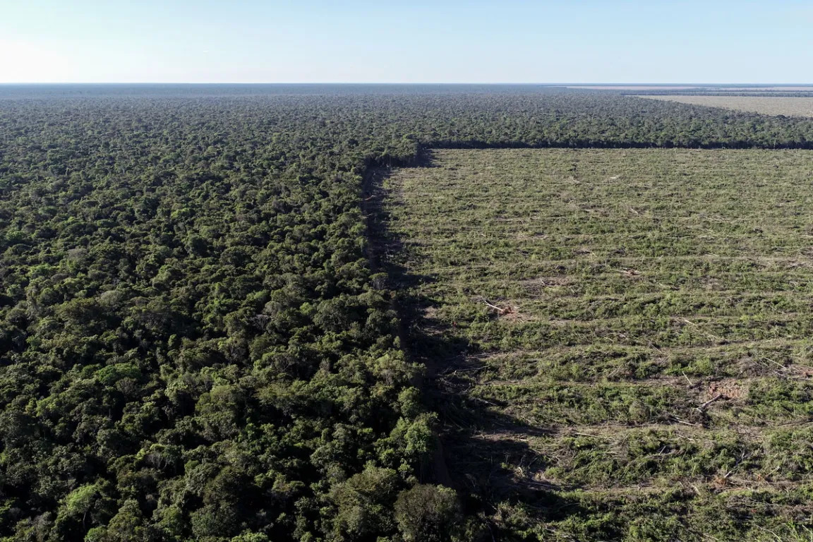 Terra Indígena tem maior área desmatada da Amazônia em MT