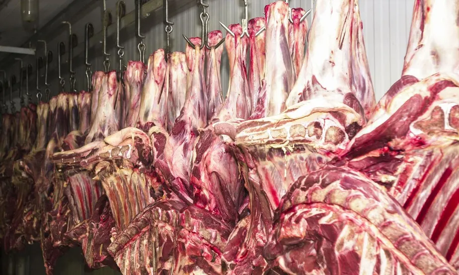 Brasil responderá por 25% das exportações de carne de boi em 2023