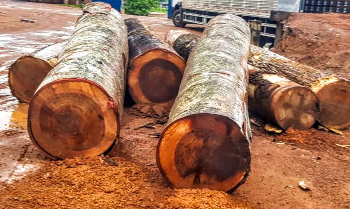 MT pede integração de dados entre sistema estadual e federal