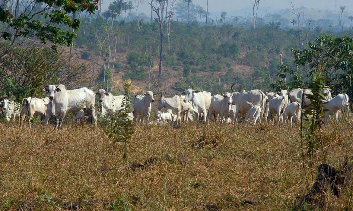 Mudanças propostas em MP vão prejudicar produtor rural