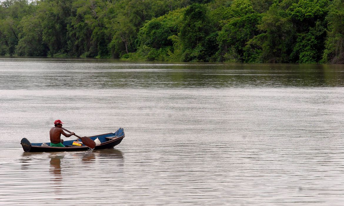 Algoritmo projeta futuro da floresta amazônica e suas mudanças