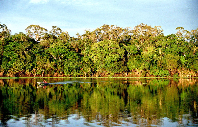 COP-28: Brasil propõe fundo de US$ 250 bi para país que preserva floresta