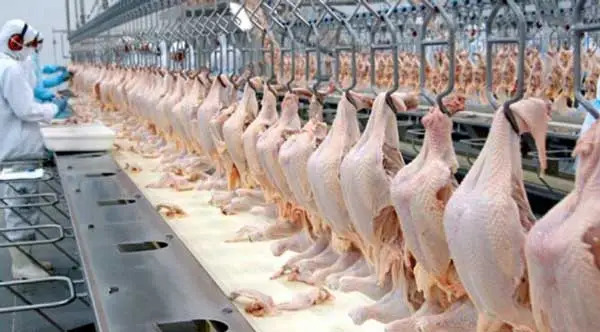Acordo de desburocratização de exportação de frango sairá em breve