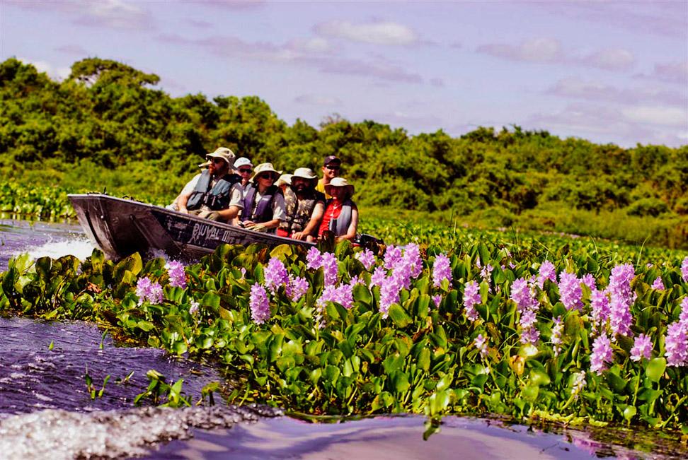 Ecoturismo é chave para desenvolvimento sustentável no Pantanal